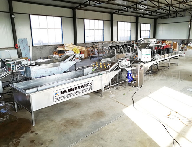 全自動(dòng)橄欖清洗機(jī)