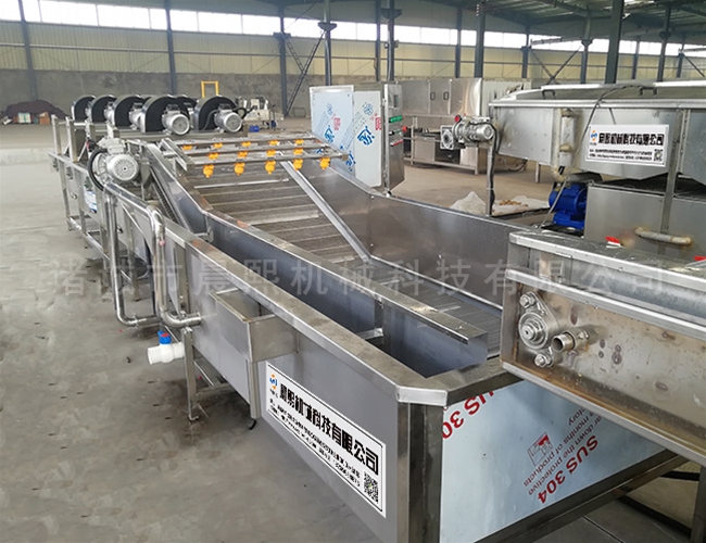 余甘子橄欖清洗機(jī)