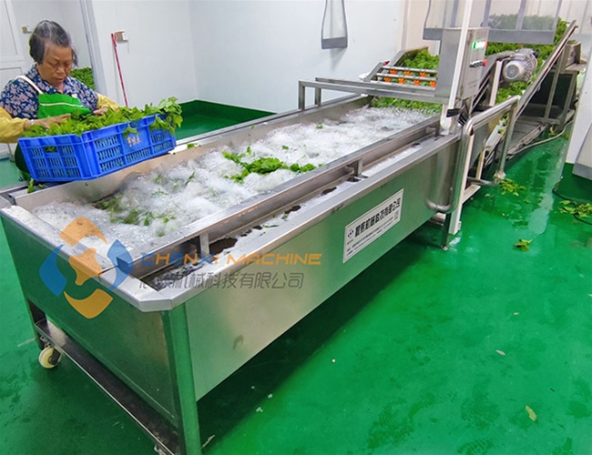 桑芽菜加工全套設備